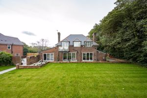 Photo 47- click for photo gallery